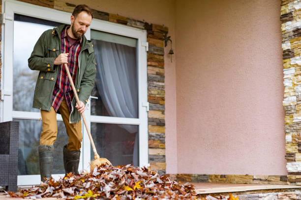 Debris Removal in Show Low, AZ
